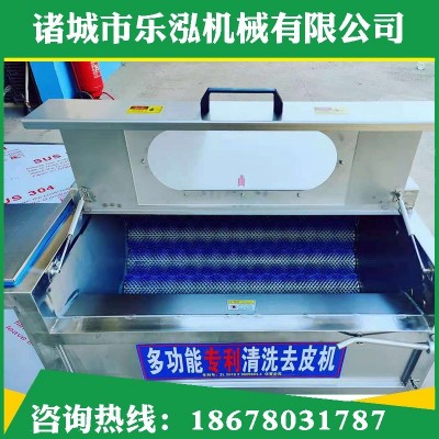 雞腿毛輥清洗機 海鮮貝類去雜去泥清洗機 魚類去魚鱗毛輥清洗機