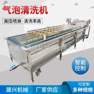定制全自動氣泡清洗機 白菜萵筍氣泡清洗設備 高壓噴淋大姜洗菜機