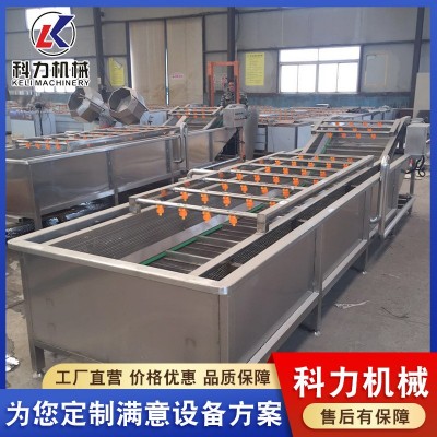 氣泡清洗機自動洗魚機 魚類自動清洗設備 不銹鋼氣泡清洗線