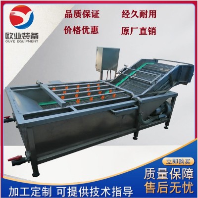 花生大豆氣泡清洗機 蔬菜清洗機設備 凈菜果蔬清洗機