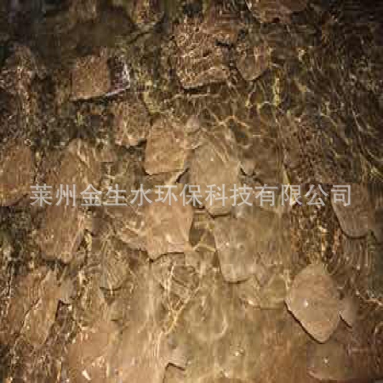 多寶魚工廠化循環水無公害養殖 多寶魚養殖