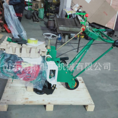 汽油動(dòng)力廣東手推式TJ668型起草皮機(jī)博昂牌草坪養(yǎng)護(hù)移植草坪機(jī)