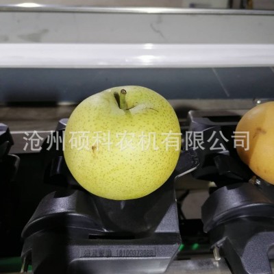 電子稱重克重檸檬分級機 分選機小型篩選機水果分選機