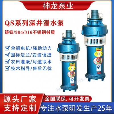 神龍大流量高揚程QS深井潛水泵水浸式觀景井用農(nóng)用噴泉潛水泵380V