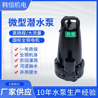 微型潛水排污泵電瓶車接電家用直流抽水泵單吸手提立式灌溉抽水泵