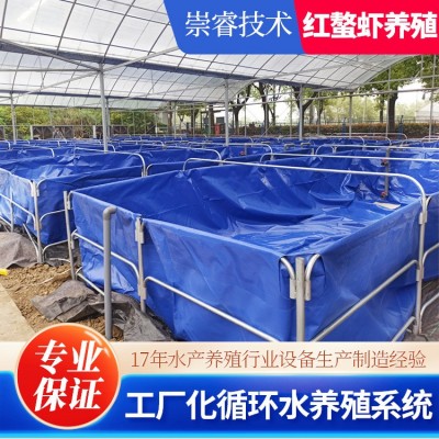 江蘇項目澳洲淡水龍蝦工廠化高密度水產養殖循環水系統