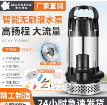 無刷直流潛水泵高揚程48V60V72V伏通用電動車電瓶車抽水泵抽水機