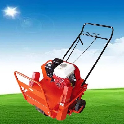 草坪果園松土機 草坪養護打孔機 手推式小型草地挖孔機