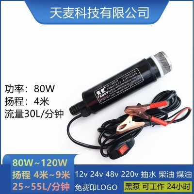 Temay潛水24v摩托車抽水泵加油器微型電動抽水抽油泵12v直流水泵