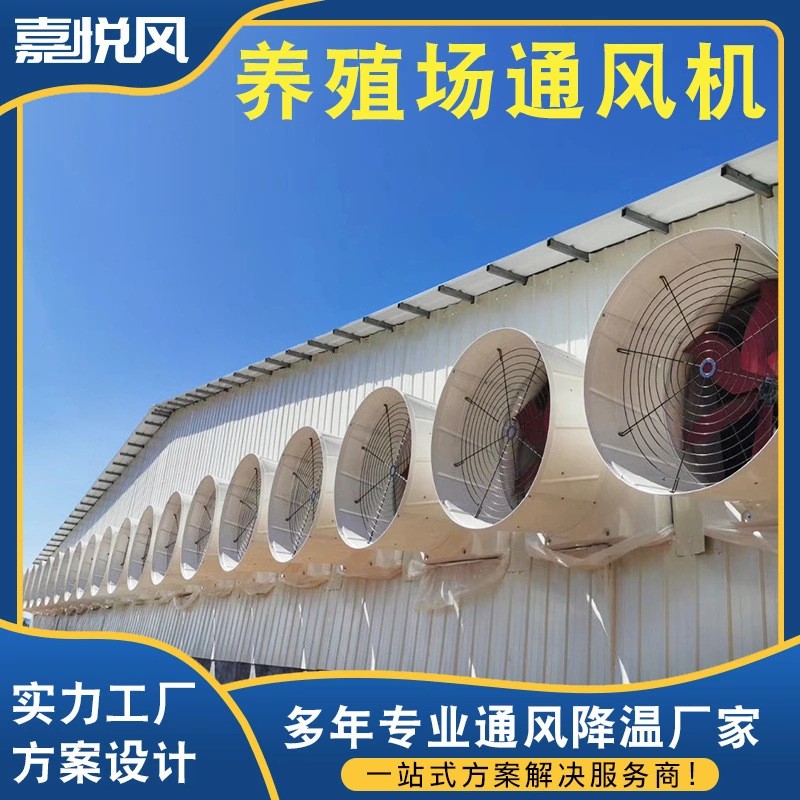 養殖場降溫通風工程 包安裝飼養基地降溫玻璃鋼喇叭型負壓通風機