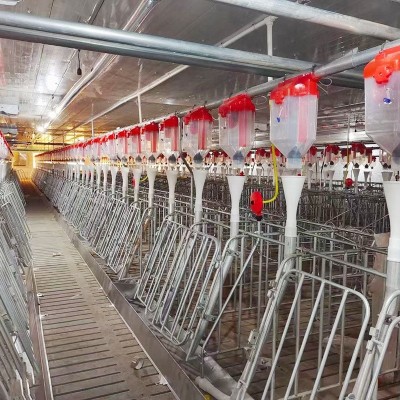 豬料線 喂豬自動下料器豬用自動料線 養豬自動化供料系統設備