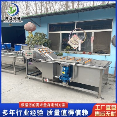 山野菜去農殘氣泡清洗機 多功能果蔬清洗機 商用不銹鋼噴淋清洗機