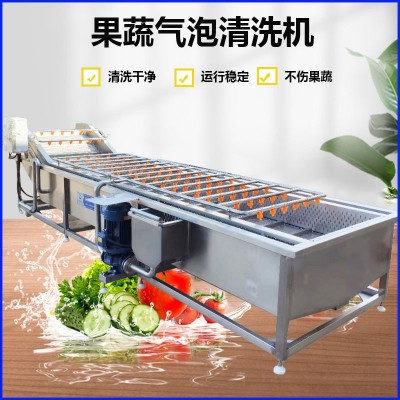 全自動氣泡清洗機 水果果蔬清洗設備 凈菜葉菜類辣椒蔬菜清洗機