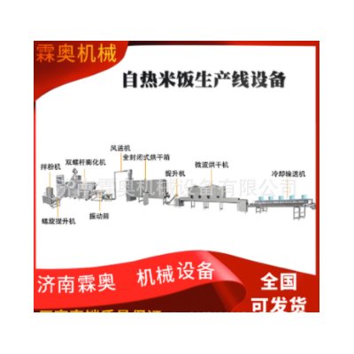 霖奧速食自熱米飯生產機器 人造復合營養米加工設備 食品膨化機械