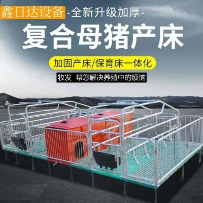 廠家直供復合保育床母豬產床不銹鋼復合漏糞板仔豬一體兩用保育床