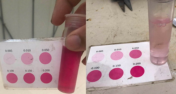 16藍靈的純氧溶氧器為何“難產”？1