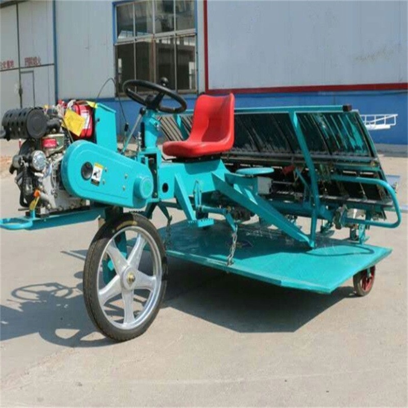 新型水稻插秧機 大型六行全自動高速栽秧機 農用機械水田拋秧機