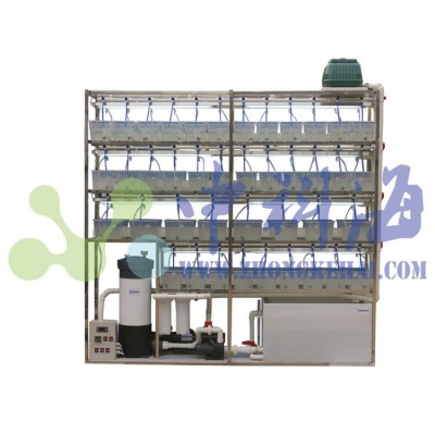 斑馬魚飼養(yǎng)系統(tǒng)，水生物實驗系統(tǒng)