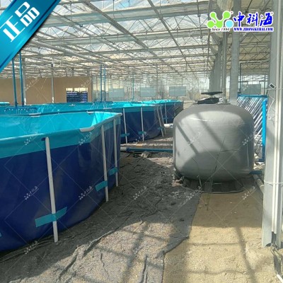 九節(jié)蝦南美白對蝦室內養(yǎng)殖工廠化養(yǎng)殖循環(huán)水養(yǎng)殖