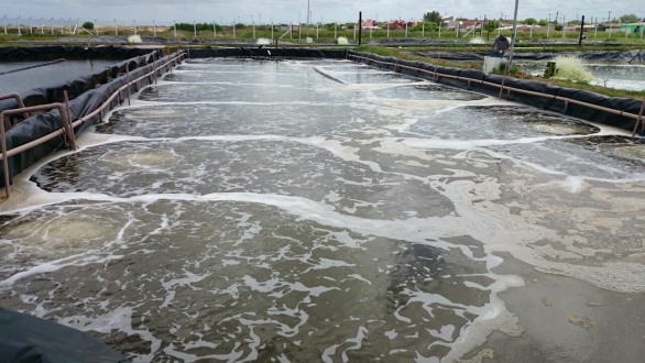 mmexport1593509660932_mh159352