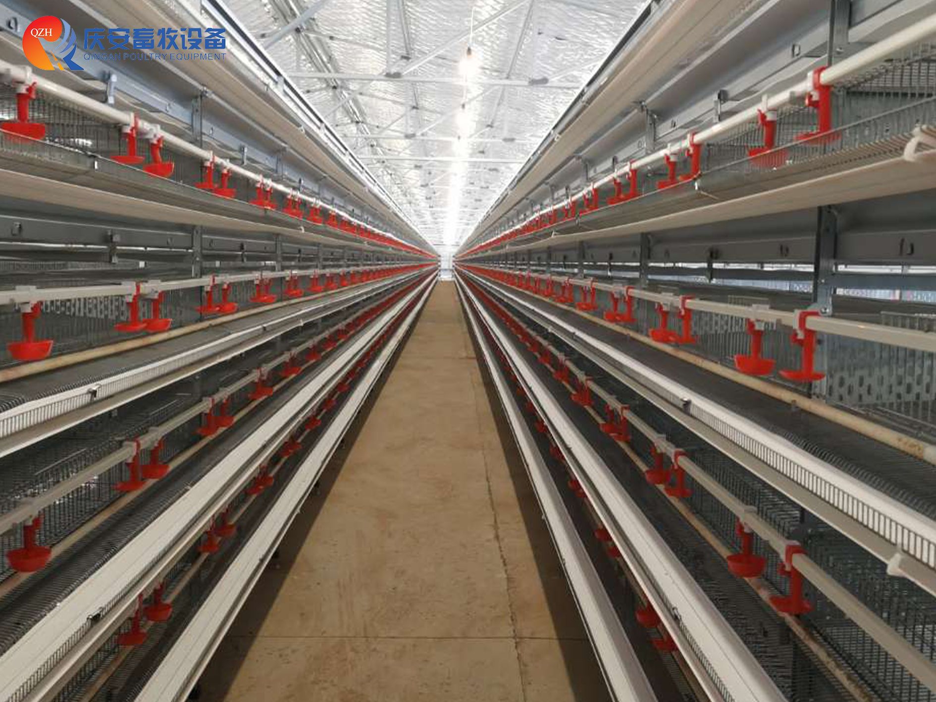 （第二行第一張）