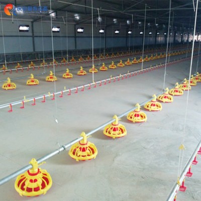 全自動 QZH 高端平養(yǎng) 商品肉雞料線 雞用 養(yǎng)雞畜牧設(shè)備