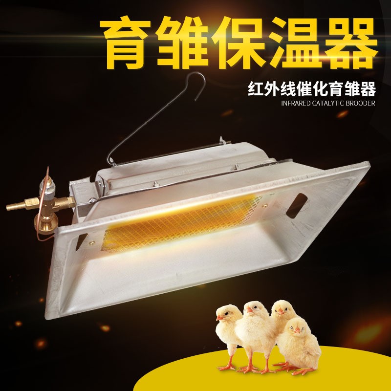 孵化出雛一體機紅外線催化育雛器 紅外線育雛保溫器 養(yǎng)雞設(shè)備