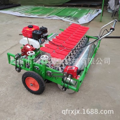 小油菜菜菠菜精播機 雪里紅蘿卜種植機 汽油分座款蔬菜精播機廠家