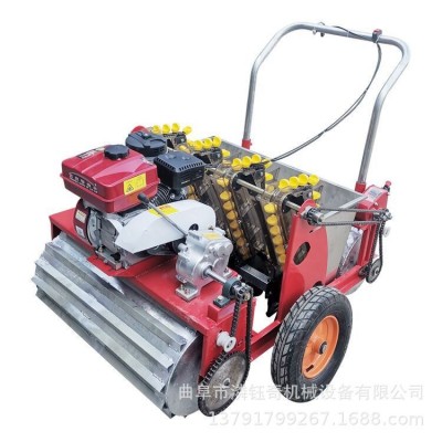 潾鈺奇大蒜播種機 汽油動力6行種蒜機 五行農用大蒜種植機