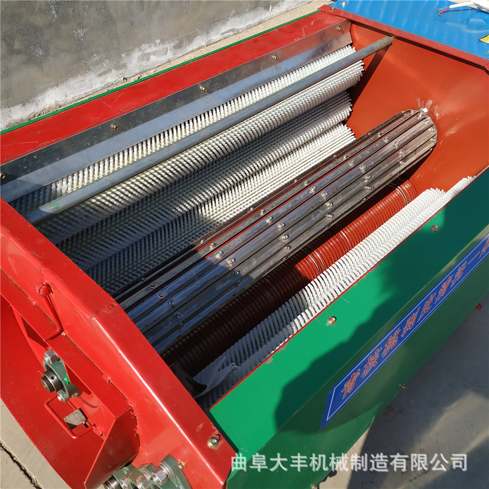 青核桃去皮機 大型農用核桃脫皮機 (10).jpg