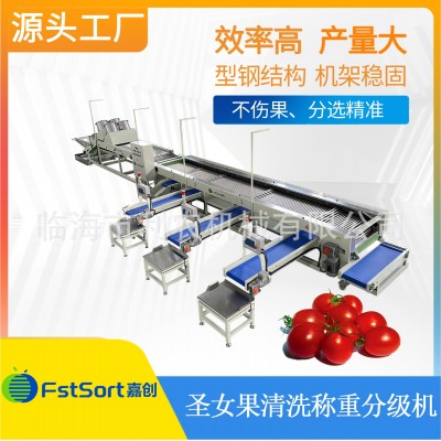 圣女果清洗稱重分選機水果篩選機果蔬分選設備效率高產量大可調