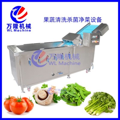 新款花椰菜果蔬清洗機海帶活性氧消毒清洗機玉米鮮菇青菜清洗機器