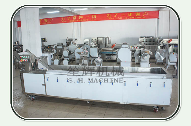 笙輝批發 汽泡清洗機洗果機大棗果蔬清洗機 供貨商