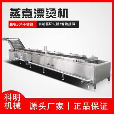 全自動果蔬漂燙機 商用菜葉漂燙殺青機設備 食品廠水果預 煮流水線