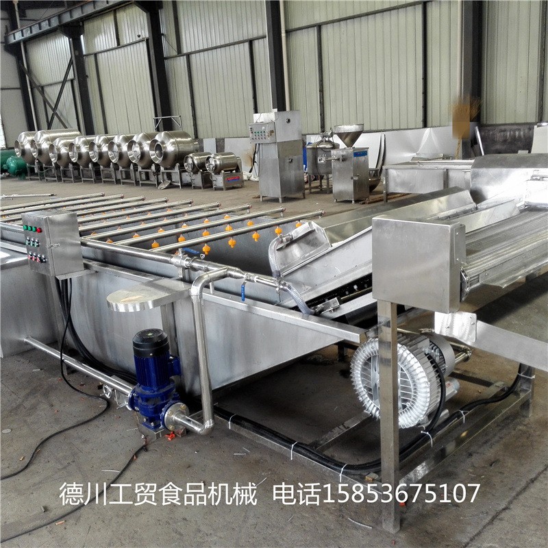 花生毛豆氣泡清洗機 中藥材氣泡清洗設備 西紅柿氣泡清洗機