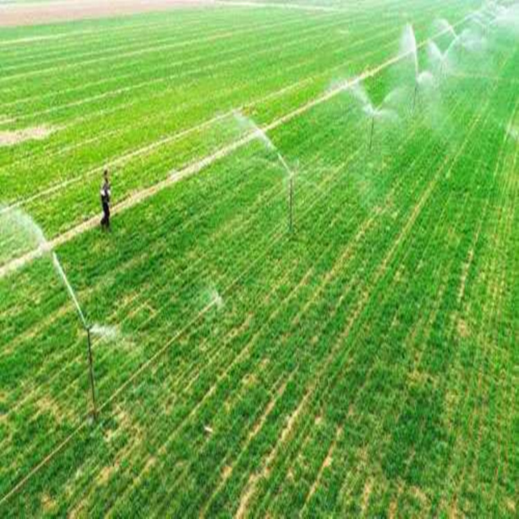 微信圖片_20200715144804_副本