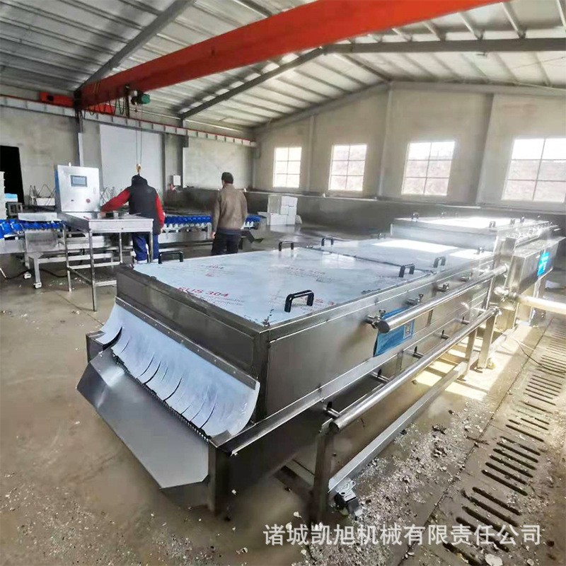 海蠣子去泥清洗設備 生姜洋蔥清洗機 紅棗胡蘿卜清洗設備供應