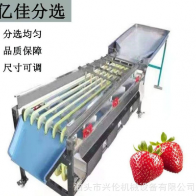 檳郎分級機冬棗篩選機橄欖分揀機山楂篩果機獼猴桃分選機