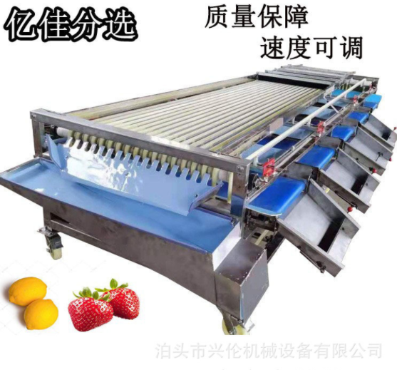 臍橙篩選機百香果分揀機核桃分級機李子分果機皮帶式分選機