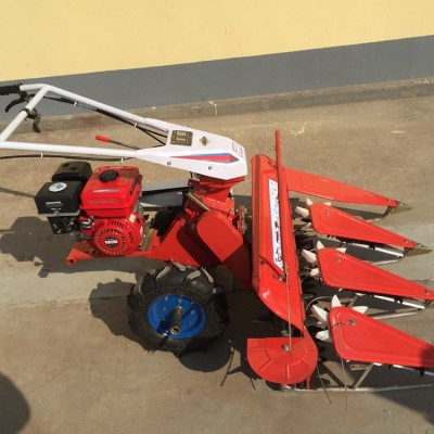 多功能青稞收割機柴油燕麥割曬機寬度1.0米辣椒收割機圖片