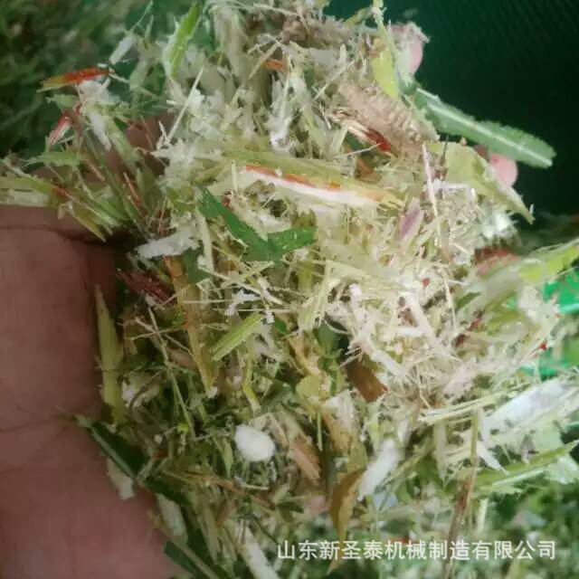 微信圖片_20191122152628