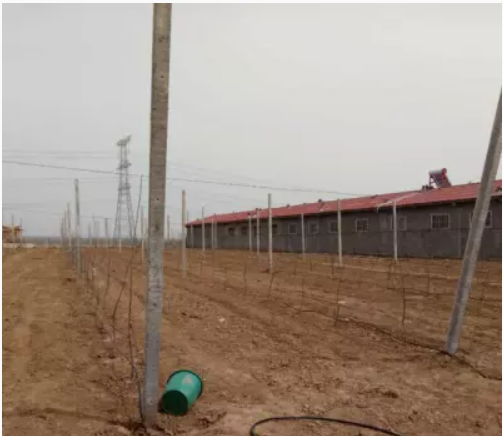 陜西滴灌管價格_陜西滴灌管哪家好_選擇楊凌潤沃價格低