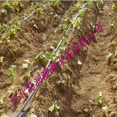 山西按需定制***微灌管，水肥一體化滴灌管