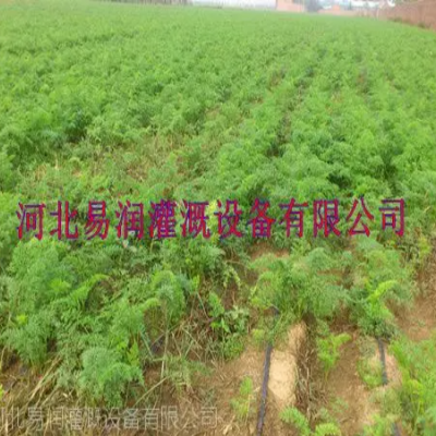 品種多滴水扁管 河南***大田滴灌帶