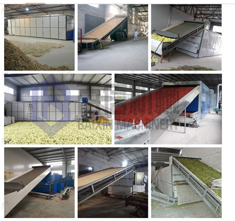 13840777041_1731683251