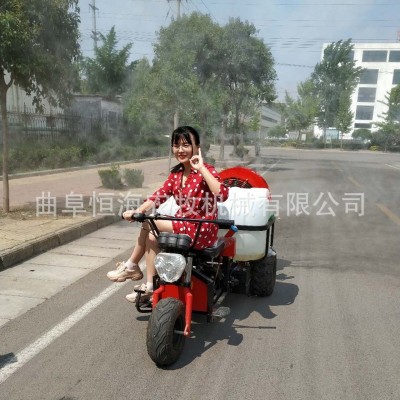 杏樹殺蟲噴霧打藥車 果園可乘式風(fēng)送打藥機(jī) 摩托三輪車帶噴霧機(jī)