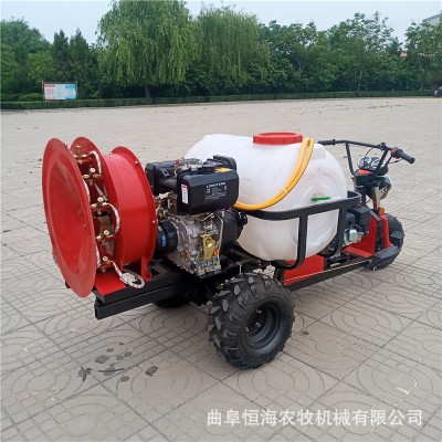 新款果園噴霧機(jī) 供應(yīng)規(guī)格全苗圃打藥機(jī)價(jià)格 菜地自走式噴霧器圖片