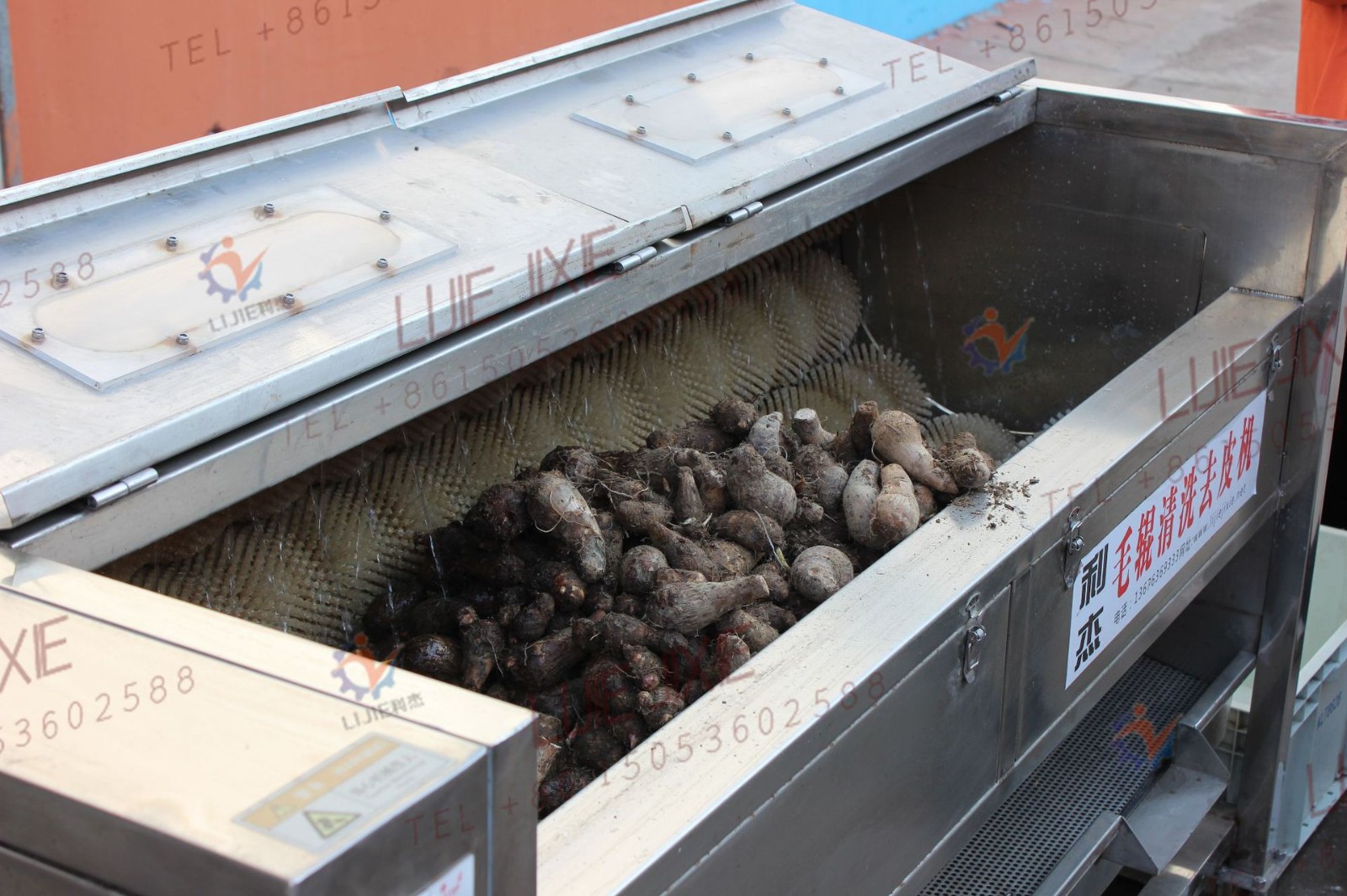 芋頭大棗清洗機 土豆紅薯毛刷清洗去皮機哪家好