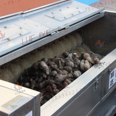 南瓜花生清洗去皮機(jī) 土豆紅薯毛刷清洗去皮機(jī)哪家好