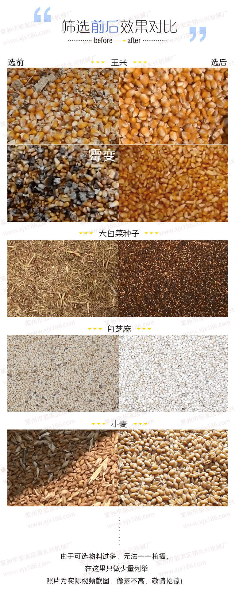 玉米大豆糧食種子除霉精選機(jī)05352591186